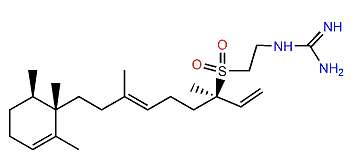 Agelasidine B